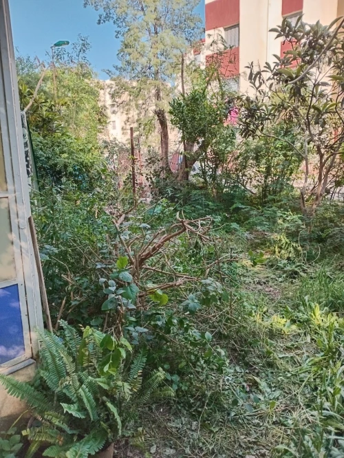 Vente Appartement F3 Blida Larbaa 6