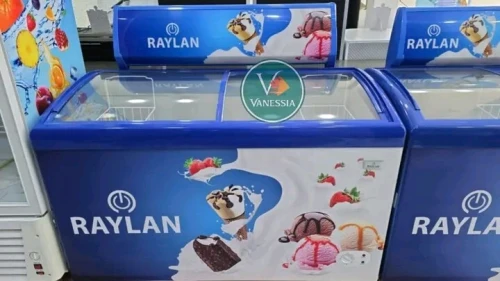 Congélateur présentoir marque raylan 328L     Garantie 24 mois  Capacité 328L  Porte c