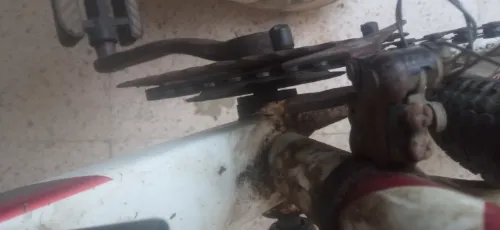 Vélo ham