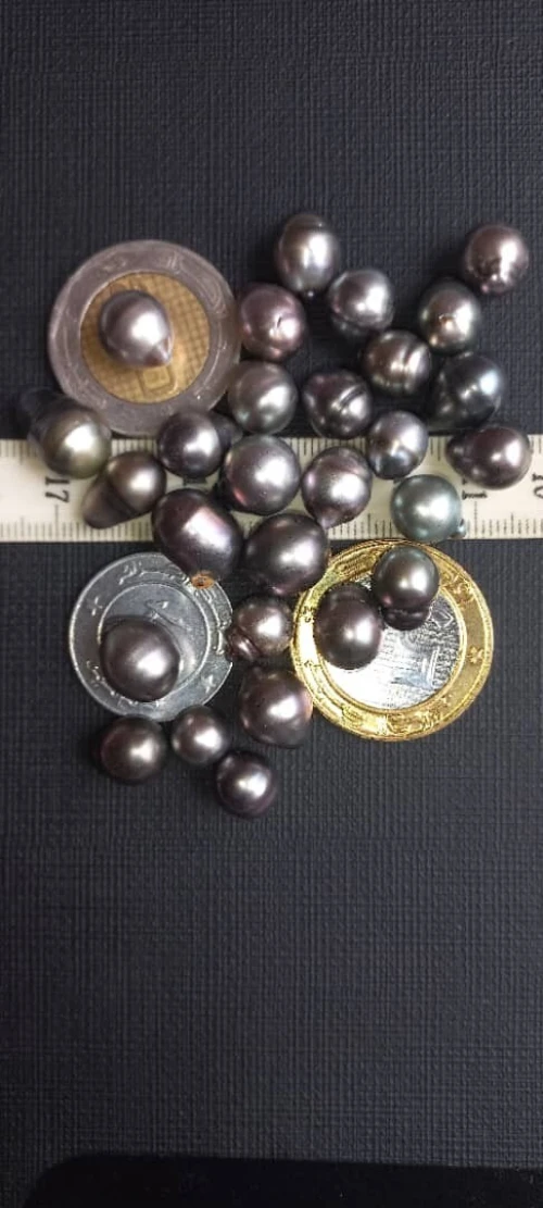 Perles