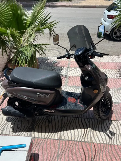 Vms Cuxi 2025