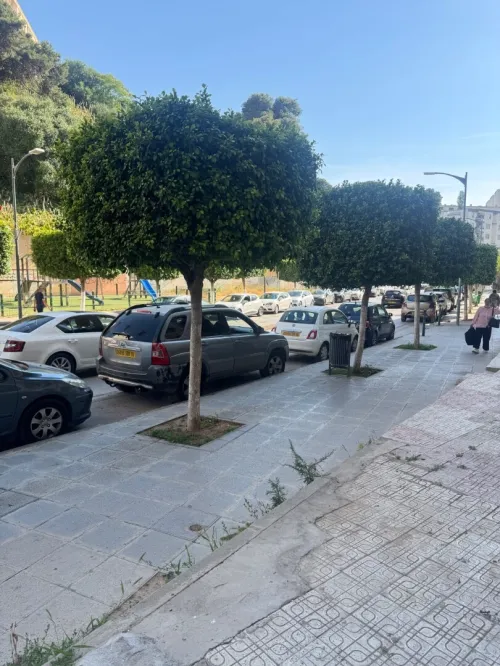 Location Local Alger Hydra