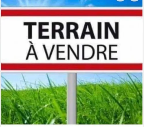 Vente Terrain Alger Birtouta