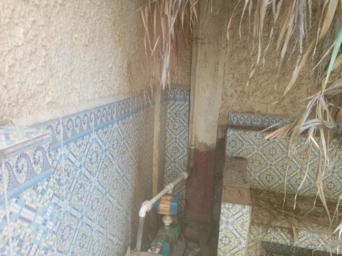 Location Villa Alger Les eucalyptus