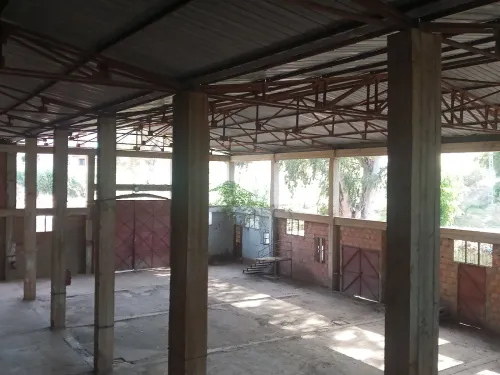 Location Hangar - Usine Tipaza Cherchell