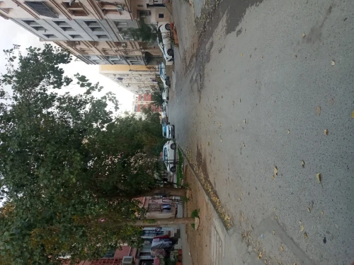 Vente Local Alger Ain naadja