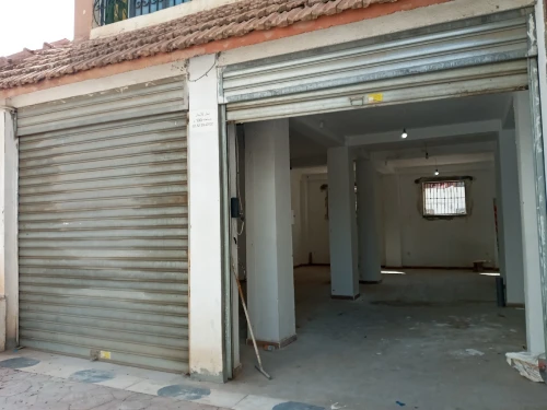 Vente Local Alger Les eucalyptus