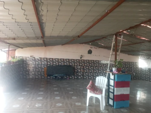 Vente Villa Alger Les eucalyptus