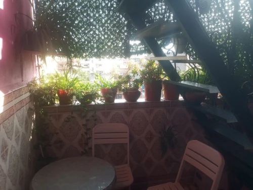 Vente Villa Alger Les eucalyptus