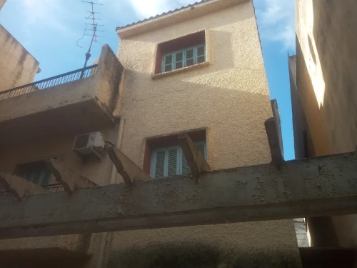 Location Villa Alger Les eucalyptus