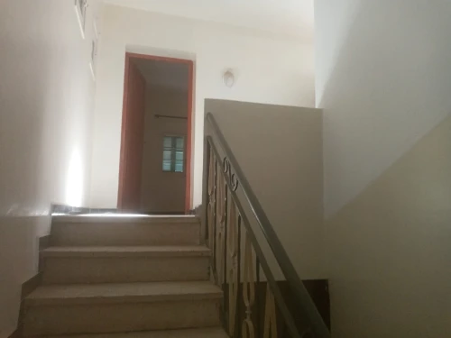 Location Villa Alger Les eucalyptus