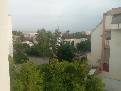 Location Appartement F3 Alger Les eucalyptus