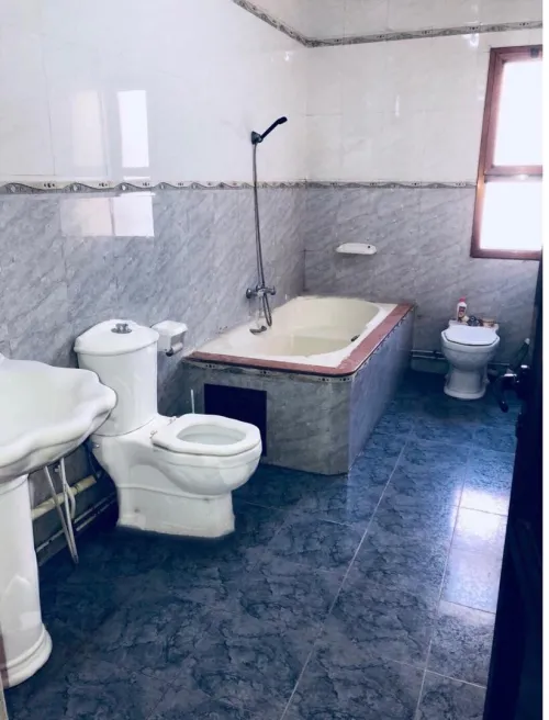 Vente Villa Alger Les eucalyptus