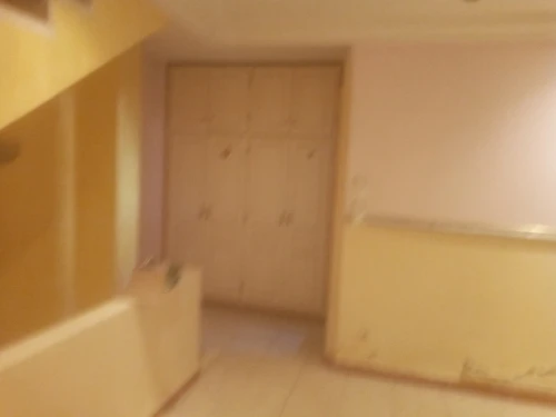 Location Villa Alger Les eucalyptus
