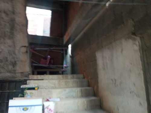 Vente Villa Alger Les eucalyptus