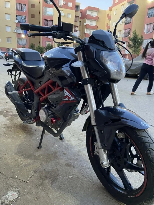 TNT Benelli 2022