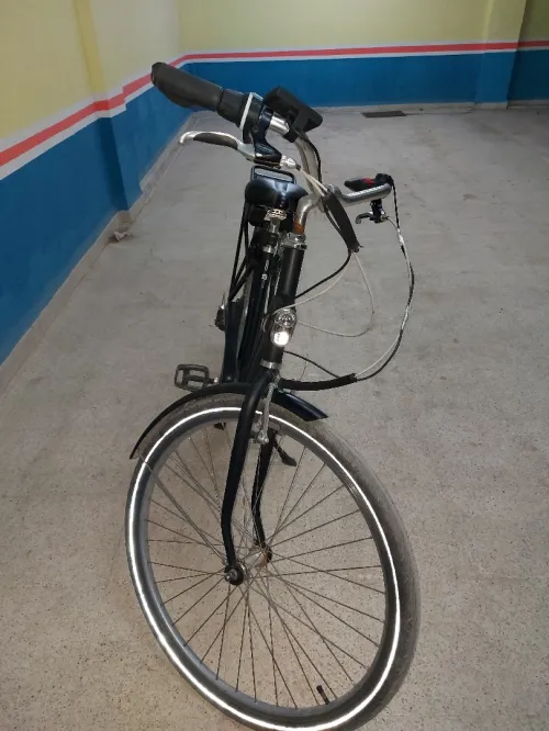 Elops Elops 120E 