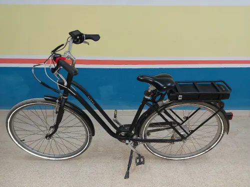 Elops Elops 120E 
