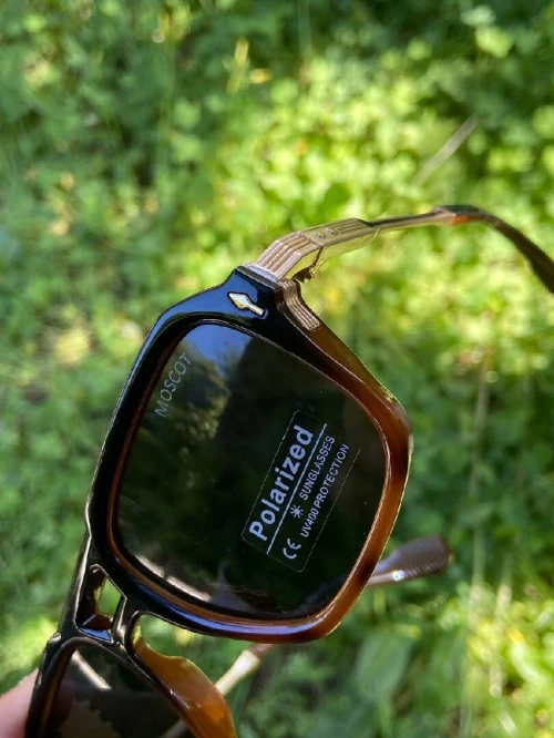 moscot marron tigre
