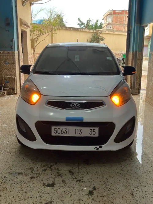 Kia Picanto 2013 Bob