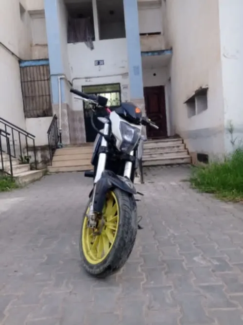 beneli Tnt 250 2019