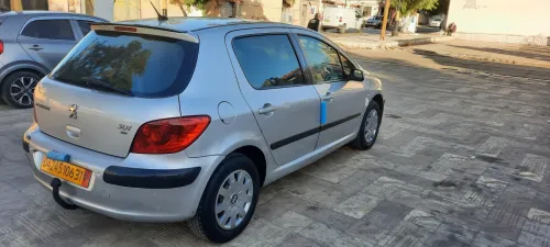 Peugeot 307 2006 307