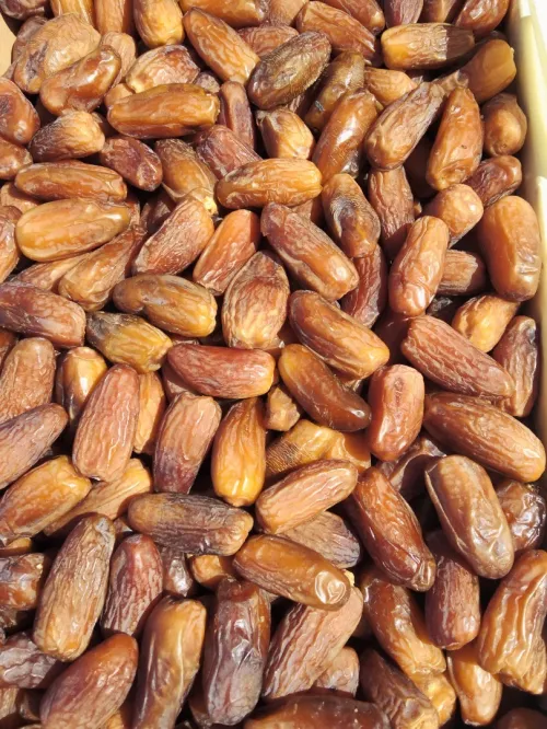 Dattes deglet Nour d'Algérie تمور جزائرية ممتازة