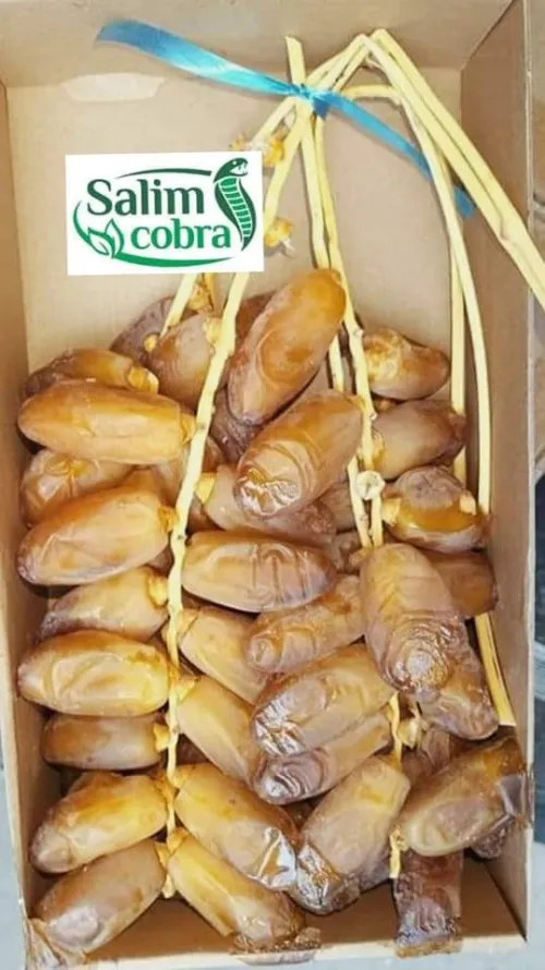 Dattes deglet Nour d'Algérie تمور جزائرية ممتازة