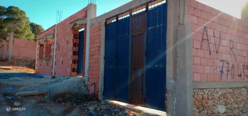 Vente Sidi bel abbes Tenira