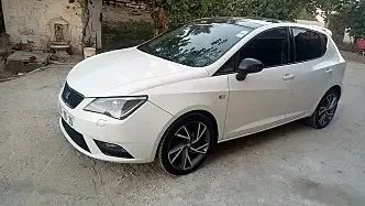 Lion ibiza