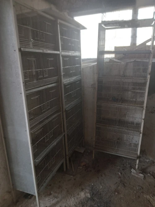 Batterie & cage pour oiseaux
