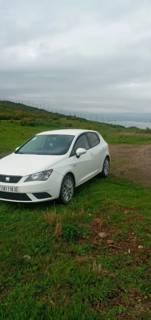 Seat Ibiza 2018 Sol