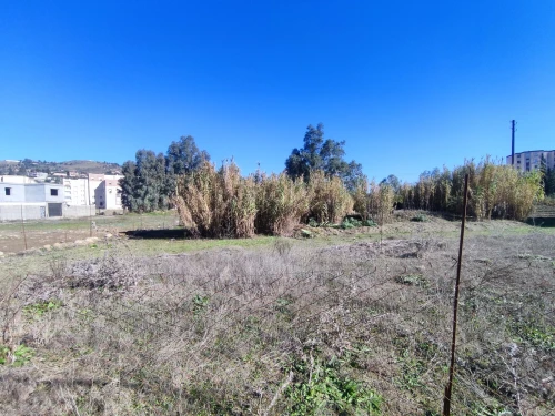 Vente Terrain Médéa Tablat