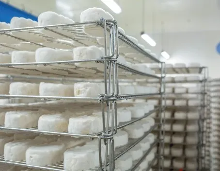 Matériel fromagerie 