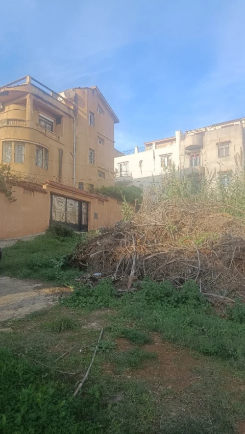 Vente Terrain Alger Ain naadja