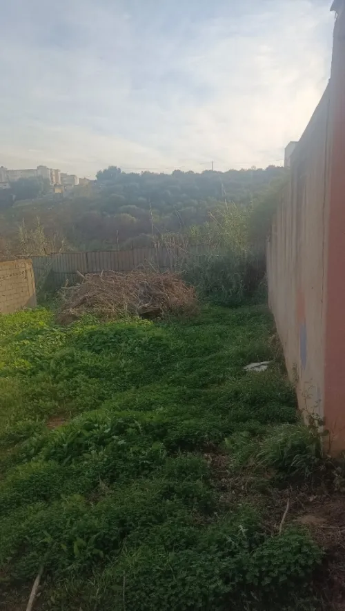 Vente Terrain Alger Ain naadja