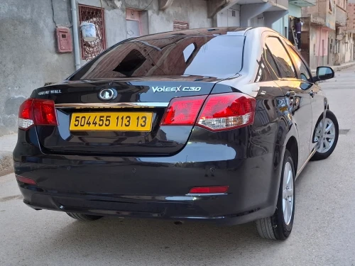 Great Wall C30 2013 C30