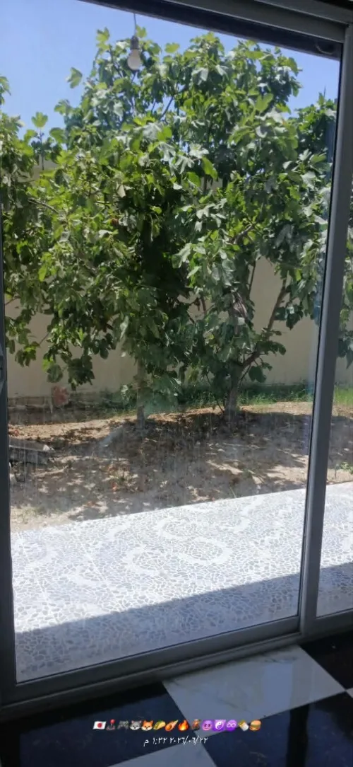 Location vacances Appartement F4 Alger Mahelma