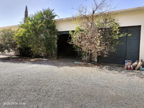 Vente Hangar Batna Batna