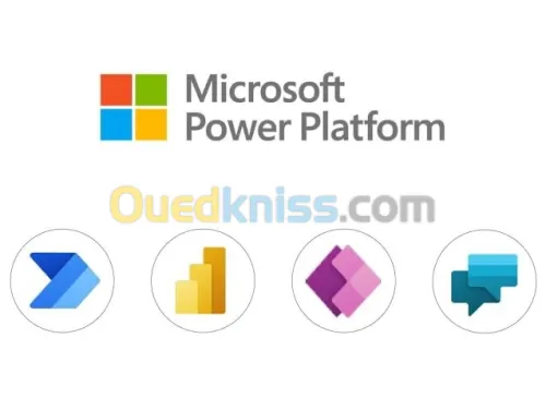 Abonnement Power Platform (Power BI, Power Apps..) Licence Pro 12mois / 10 utilisateurs