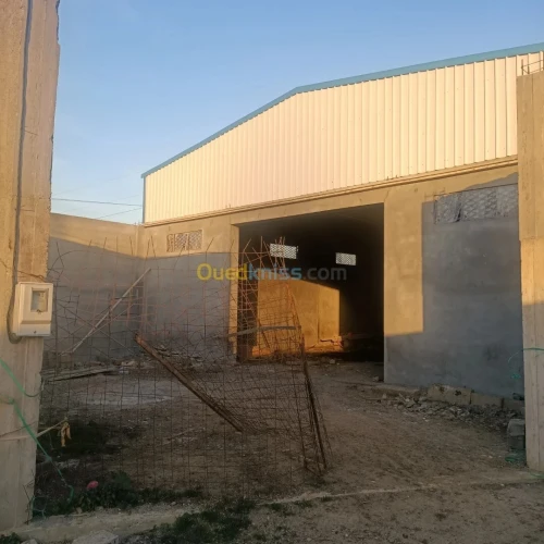 Vente Hangar Boumerdès Ouled moussa