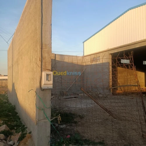Vente Hangar Boumerdès Ouled moussa