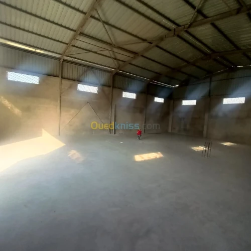 Vente Hangar Boumerdès Ouled moussa