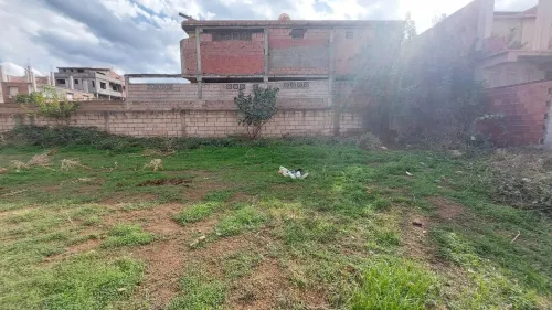 Vente Terrain Blida Bouinan