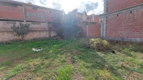 Vente Terrain Blida Bouinan