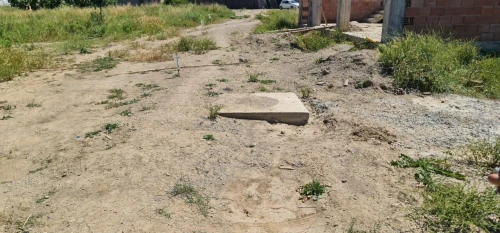 Vente Terrain Blida Larbaa
