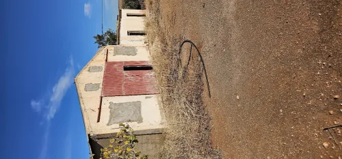 Vente Terrain Agricole Aïn Témouchent Hammam bouhadjar