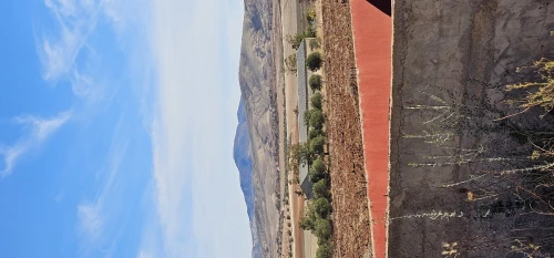 Vente Terrain Agricole Aïn Témouchent Hammam bouhadjar
