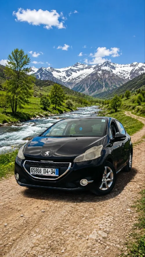 Peugeot 208 2014 Active
