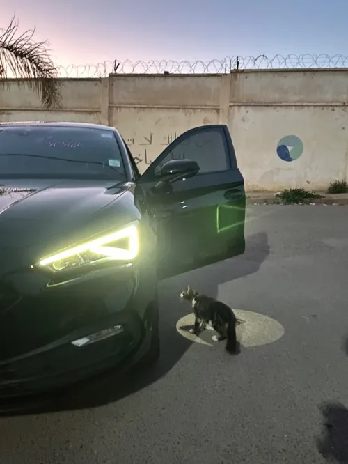 Seat Leon 2021 Leon